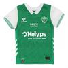 Hummel Childrens/Kids 2025/2026 AS Saint-Étienne Home Jersey