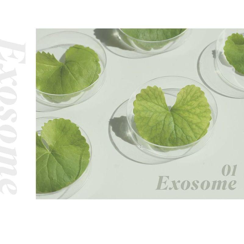 NEOGEN - Dermalogy High R Exosome Cream