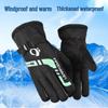 Beiyipin Winter Warm Cycling & Ski Gloves