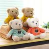 Süßes Teddybär-Plüschtier mit abnehmbarer cremefarbener Kleidung Perfektes Geburtstagsgeschenk