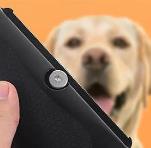 Professional Pet Deshedding Brush Multifunctional Pet Groom Brush Ergonomic Pet Groom Brush Dog Hair Remover Deshedding Tool