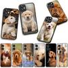 Handyhülle Tier Haustier Golden Retriever Hund für Xiaomi Poco F7 F6 F8 Ultra F5 X7 X6 X5 X3 NFC M7 M6 Pro C85 C75 C65 C71 C61 Hülle