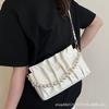 French texture handbag women's small bag 2025 new pleated cloud bag versatile trend shoulder messenger bag