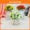 Flower Orchid Artificial Potted Plant Indoor Garden And Living Decoration Space