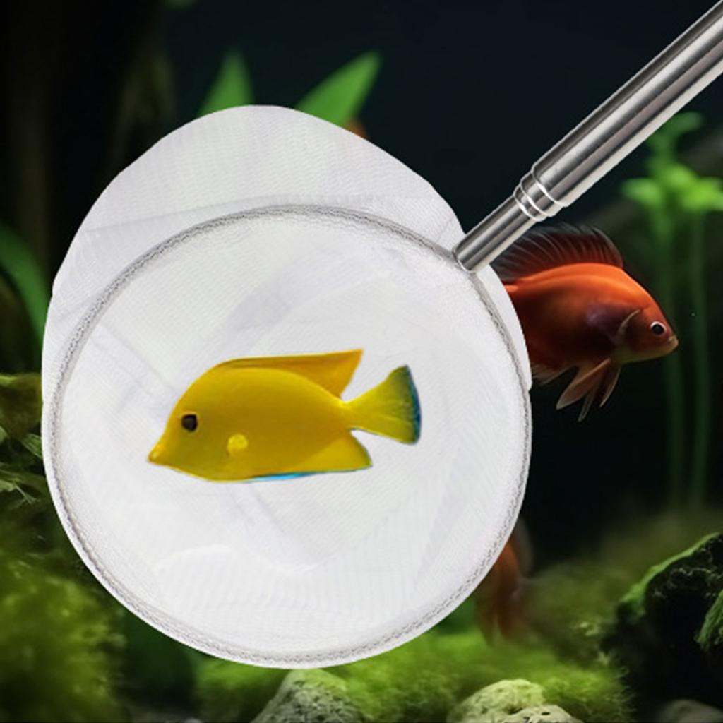 Fish Net for Fish Tanks Telescopic Rod for Catching Shrimp Commercial Use Telescopic Long Retractable Handle