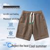 Men's Plus Size Casual Shorts