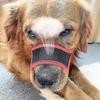Dog Muzzle Nylon Soft Muzzle Anti-biting Barking Securemesh Breathable Pets Mouth Cover For Small Medium Large Dogs