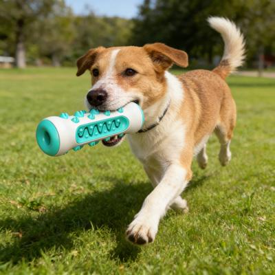 Pet Toy Teeth Cleaning Design Bite-Resistant TPR Medium Large Dogs Chew Toy with Built-In Sound Stimulator