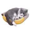 2Pcs Cat Scratching Toy Yellow Creative Banana Design Scratch Board