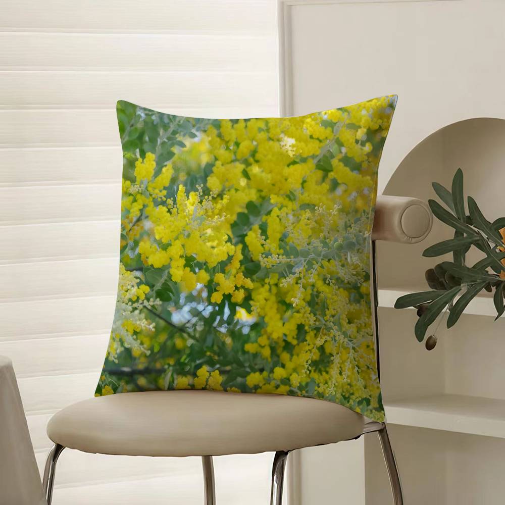 

Beautiful Spring Prints Acacia Pycnantha Pillow Case Comfort Sofa Bed Silky elegant Invisible zipper Decorative cushion cover 12x12Inch