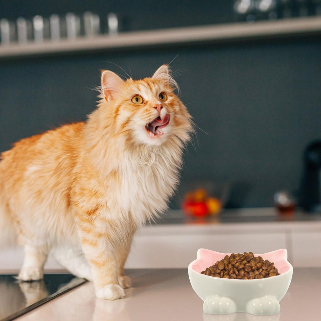 Cat Ear Ceramic Bowl Unique Design Pet Feeding Tool Cat Neck Protection Feeder Smooth Surface Easy Clean Neck Protection Bowl