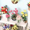 Miniature Flower Pots Garden Scene 1Pc Micro Landscape Home Decor Pocket Ornament