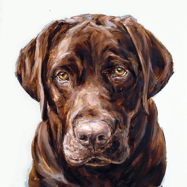 Diamond Painting Full Round Dog 5D DIY Diamond Embroidery Mosaic Animals Rhinestone Pictures Handmade Gift Home Decor