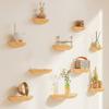 2pcs/set Hanging Rack For Flower Pots Plants Wall Decoration Home Decorative Storage Rack Ornaments 2 Colors