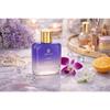 TRÉVITO Bliss Luxus Parfüm für Damen 100ml | Premium Langanhaltendes Eau de Parfum | Ambery Fougere Duft