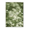 White Flower Dandelion Green Hill House Wall Art Canvas Painting Nordic Posters And Prints Wall Pictures For Living Room Decor