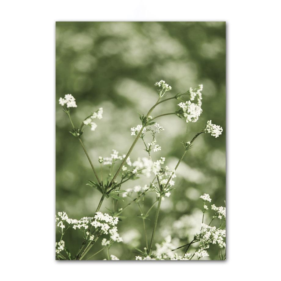 White Flower Dandelion Green Hill House Wall Art Canvas Painting Nordic Posters And Prints Wall Pictures For Living Room Decor