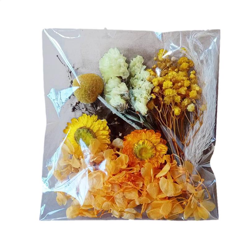 Natural Plants Dried StarrySky Flowers Preserved Materials Kit Epoxy Resin Candles Soap DIY Floral Materials Set Dried Flowers