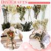 DIY Natural Dried Flower Set Eucalyptus Lavender Wheat Bunny Tails Billy Ball Flower Bouquet with Stems for DIY Crafts Home Wedding Vase Decor