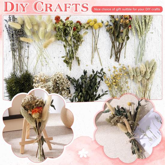 DIY Natural Dried Flower Set Eucalyptus Lavender Wheat Bunny Tails Billy Ball Flower Bouquet with Stems for DIY Crafts Home Wedding Vase Decor
