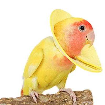 Protikusový obojek pro papoušky, měkké obojky pro ptáky, prodyšný protikusový kuželový obojek, měkký ochranný kuželový obojek, obojek na krk pro papoušky