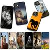 Hülle Wildes Pferd Schwarz Cool für Samsung Galaxy A25 A37 A57 A12 A14 A31 A41 A50 A51 A70 A71 A72 A21S A04 M15 Note 20 9 8 10 Hülle