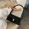 French niche bag retro versatile new trendy underarm spring and summer women's bag shoulder messenger bag