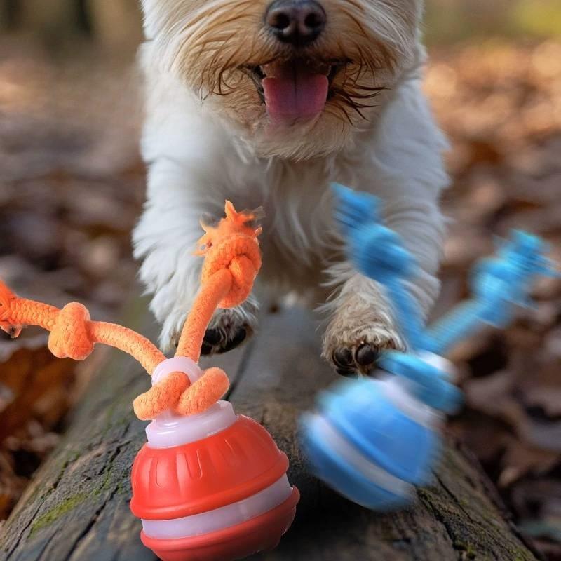 Interactive Squeaky Dog Toys For Boredom Relief Reduce Anxiety Chew Toys For Dogs