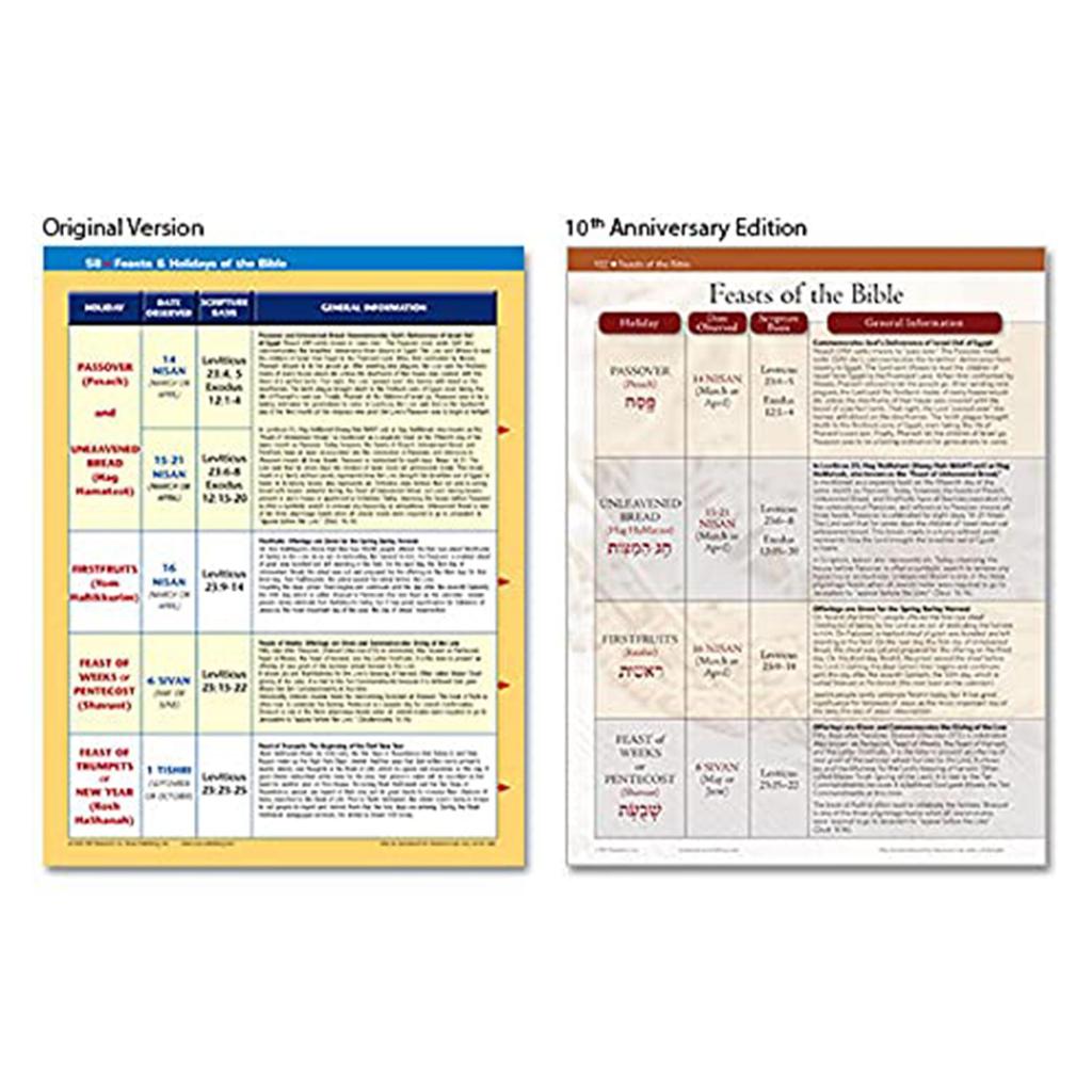 Rosenfarbenes Bibel-Nachschlagewerk mit Diagrammen, Karten und Zeitleisten Umfassender visueller Führer zu biblischen Ereignissen und Orten für Studium und Bildung