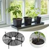 1Pcs Plant Pot Soil Guard With Nails Plant Pot Grid Flower Pot Cover Baby Safety Mouses Garden Home Plant Protector Repel Cats