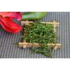Organic White Tea 100g Premium Anji Baicha Needle Health Care Loose Leaf
