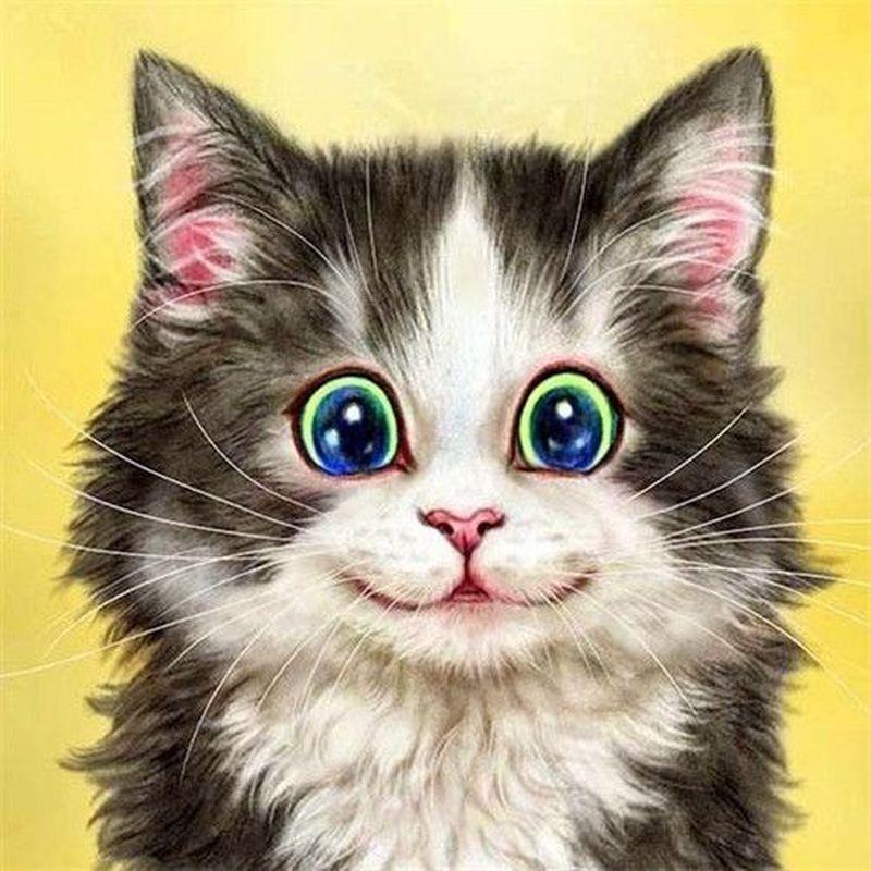 5D DIY diamantová malba Zvířecí křížový steh Celokulatý vrták Diamantové vyšívání Prodej Domácí dekorace