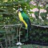 1PC 6 Colors 25cm 35cm Simulation Parrots Birds Artificial Parrots Birds White Parrots Garden Decoration