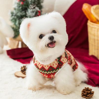 Ropa y calzado – Suéteres para perros