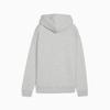 Puma ESS SMALL LOGO FZ TR Women's Hoodie Gray 68832704 Size XS