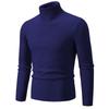 Herren Pullover Herbst/Winter 2024 Hoher Kragen Unifarben Lässig Gestrickt
