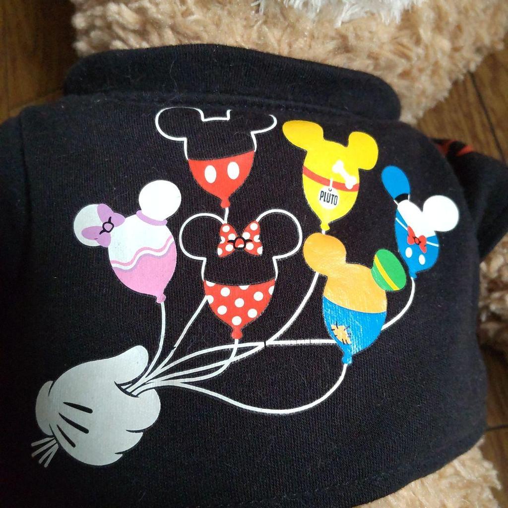 [USED] Antique Tokyo DisneySea30 Teddy Bear