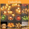 Festive 2m 20led Hanging Christmas Lights Snowflake And Candy Cane Design