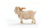 Schleich Farm World Angora Goat 13970 (Male)