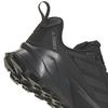 Adidas Terrex Trailmaker 2 GTX W IH0617 R-36 2/3 shoes