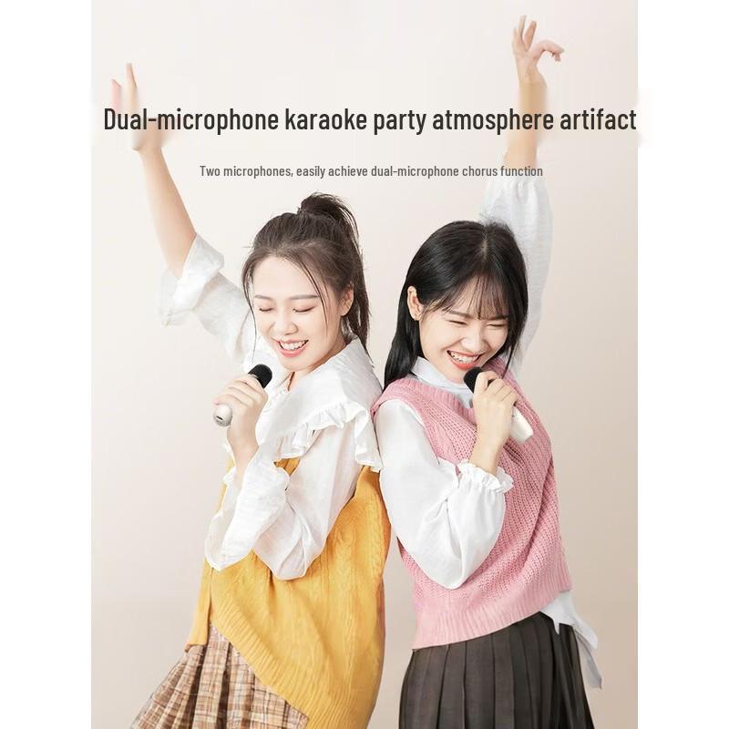 Newmine DP07 Portable Karaoke System with Dual Microphones CN plug (adapter included)