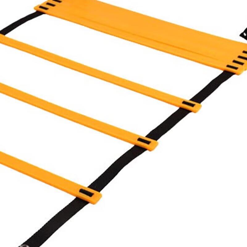 Agility Training Ladder