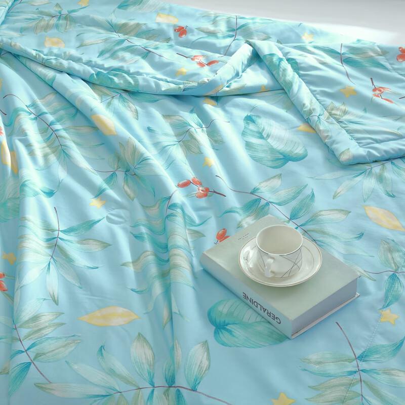Ziyun Ice Silk Summer Quilt