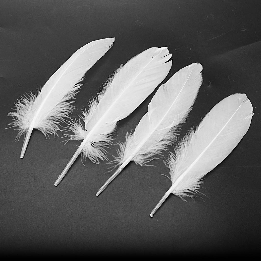 Gut-100 Stück Weiße Federn Gans Basteln Für Partyhut Handwerk Hochzeitsdekoration 15-22Cm
