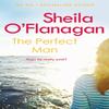 The Perfect Man by Sheila OFlanagan Paperback Book 9780755343812