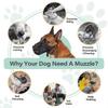 Breathable Mesh Dog Muzzle Anti-Bite Strap Dog Mouth Cage Scavenging Prevention Long Mouth Pet Mouth Mask Gray,L