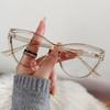 Retro Blue Light Blocking Eye Protection Computer Glasses Trendy New Women Cat Eye Frame Spectacle Eyeglasses Unisex Fashion Eyewear