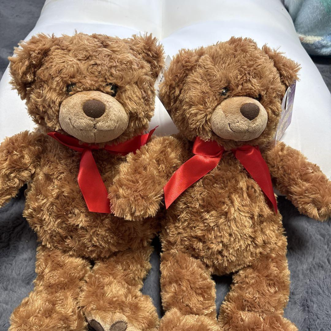 

[USED] Brown teddy bear with backpack