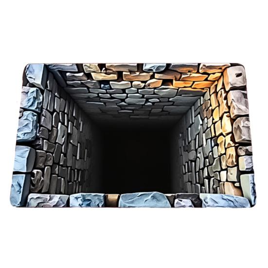 3D Visual Hole Rug Optical Illusion Floor Mat Realistic Hole Pattern Doormat Test And Play with Dog or Cat for Entrance Hallway Living Room