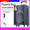 Chigo High-Power Outdoor Bluetooth Trolley Speaker for Music & Karaoke